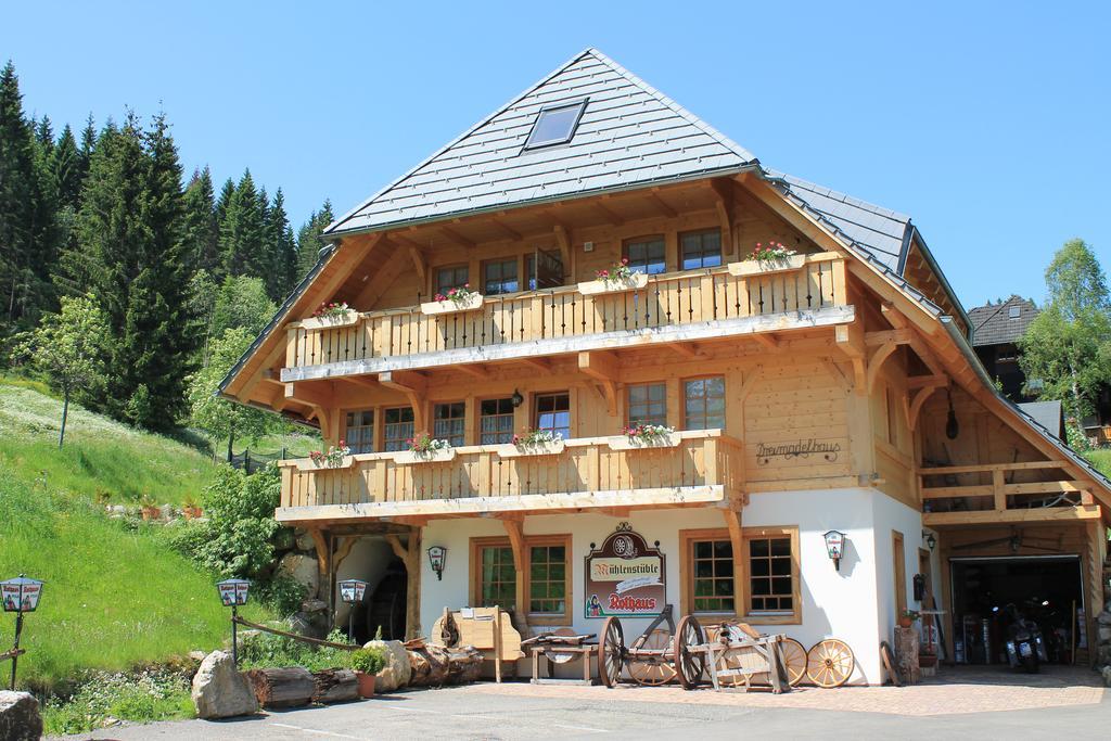 Hotel & Restaurant Gruener Baum - Die Gruene Oase Am Feldberg Feldberg  Exterior foto